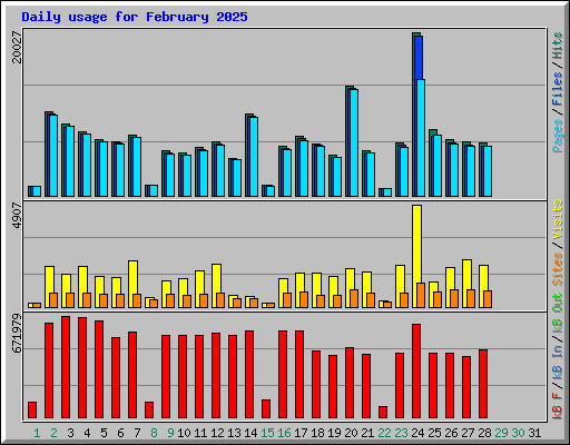 Daily usage for February 2025