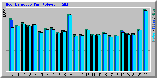 Hourly usage for February 2024