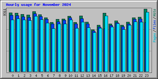 Hourly usage for November 2024