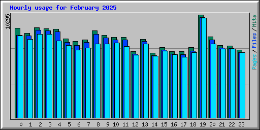 Hourly usage for February 2025