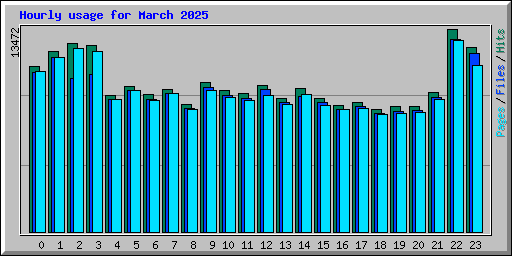 Hourly usage for March 2025