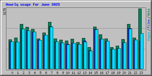 Hourly usage for June 2025