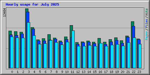 Hourly usage for July 2025