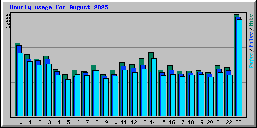 Hourly usage for August 2025