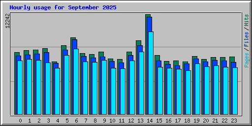 Hourly usage for September 2025