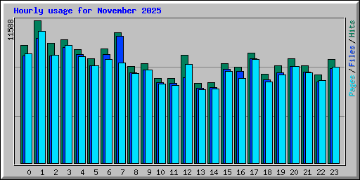 Hourly usage for November 2025