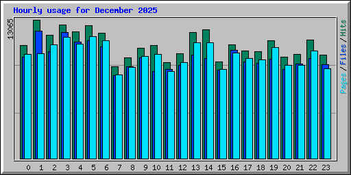 Hourly usage for December 2025