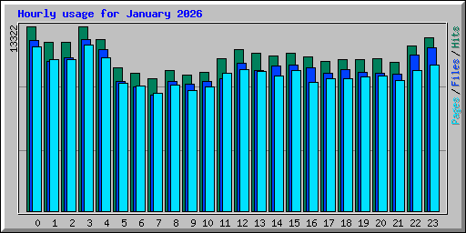 Hourly usage for January 2026