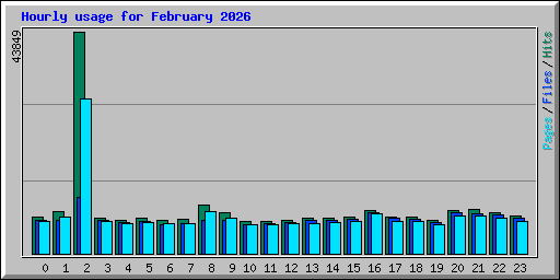 Hourly usage for February 2026